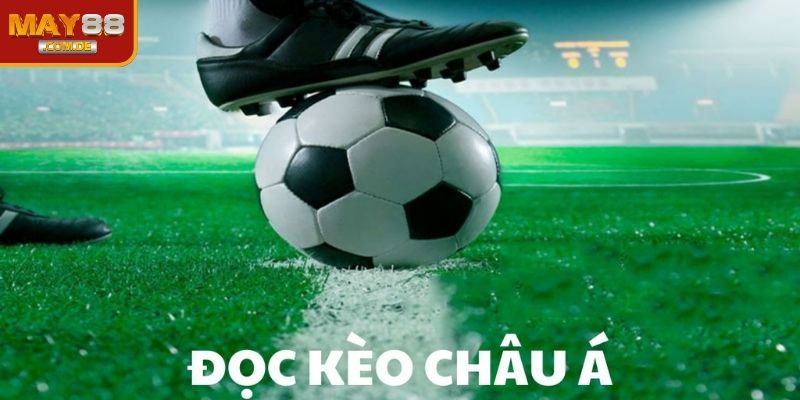 Bí quyết vàng để chiến thắng từ các cao thủ cá cược